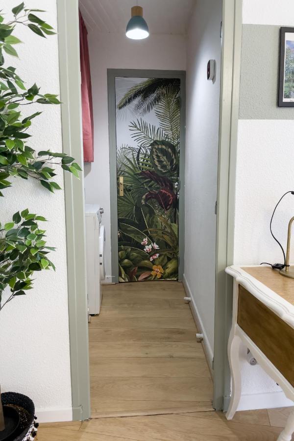 Appartement Lumineux 1 Chambre Hypercentre Place St Jean فالنسيا المظهر الخارجي الصورة